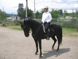 Gaited Horseshow